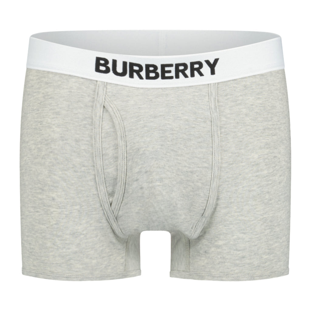 Burberry 'Truro' Cotton Jersey Boxers Grey (One Unit) - Boinclo ltd - Outlet Sale Under Retail